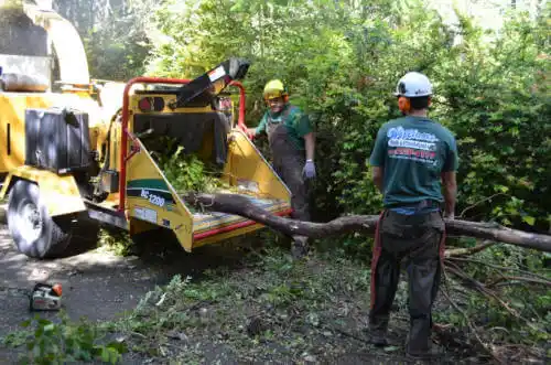 tree services Arnold